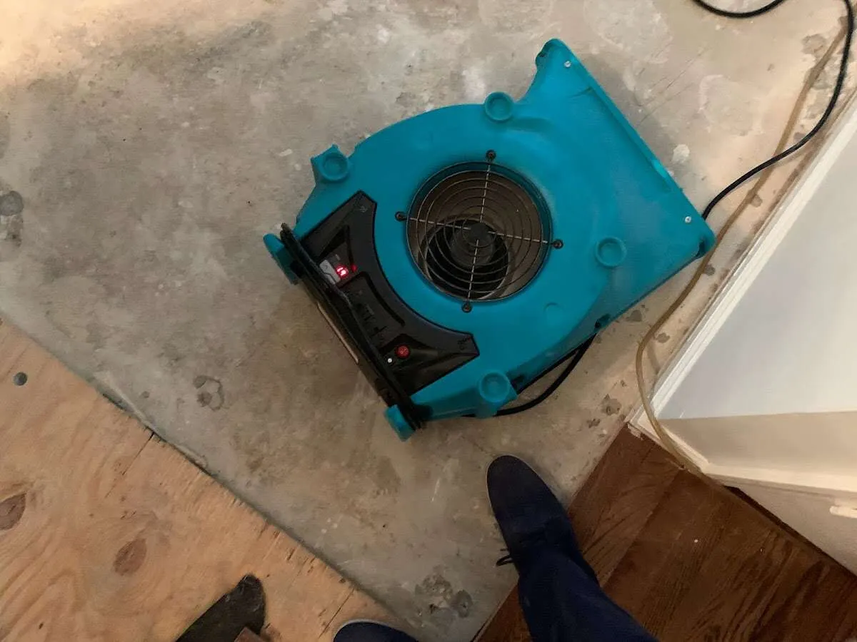 Air mover drying subfloor during Leak Detection & Repair in Balm